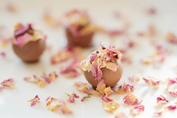 Casino Chilli Spins Application Android/iOS